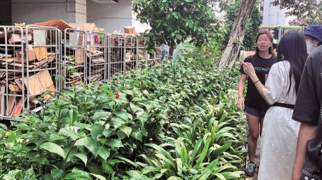 Learning about waste management in Singapore, including waste collection and the differences in waste systems between modern and old flats 